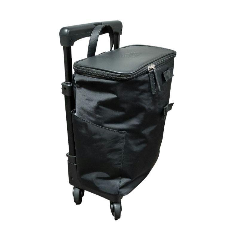 SWANY スワニー アミーカ キャリーケース  17L  専用レインカバー付き