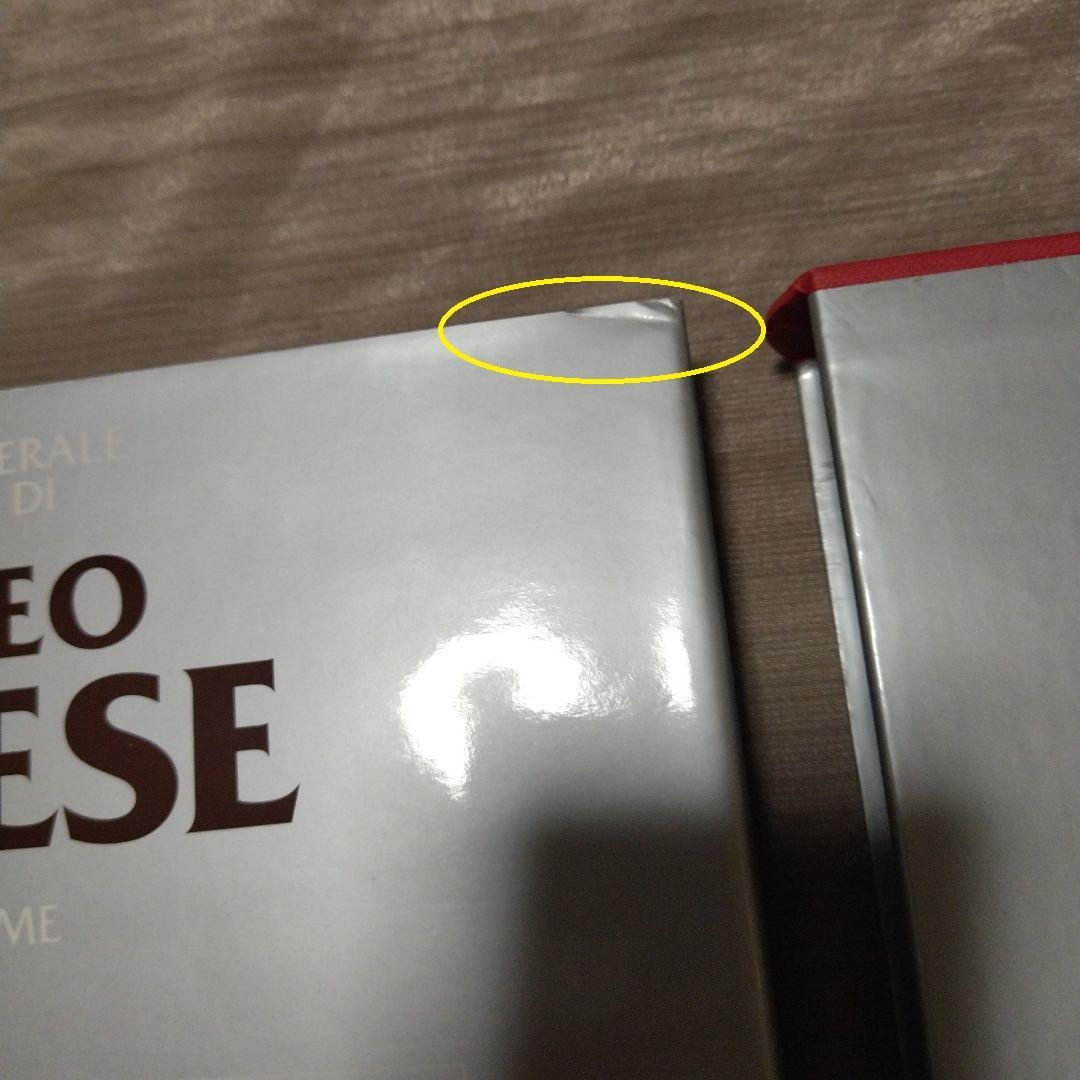 Amedeo Fiorese 巨大な本イタリア語版vol.01オブジェ芸術アート