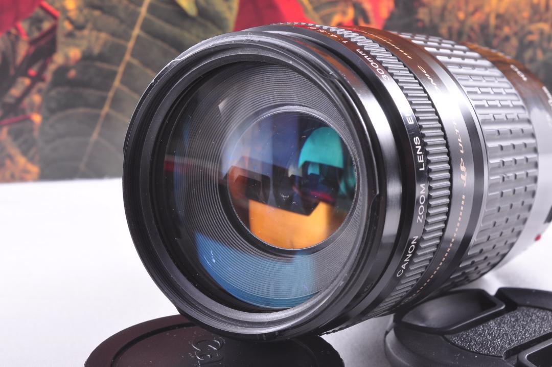 迫力の300㎜ Canon キヤノン 望遠レンズ EF75-300mm 5