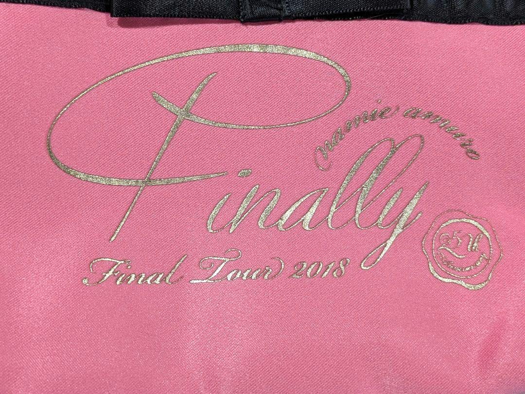 安室奈美恵 ポーチ finally 未使用] 安室奈美恵 FinalTour2018「Finally」 ポーチ - メルカリ