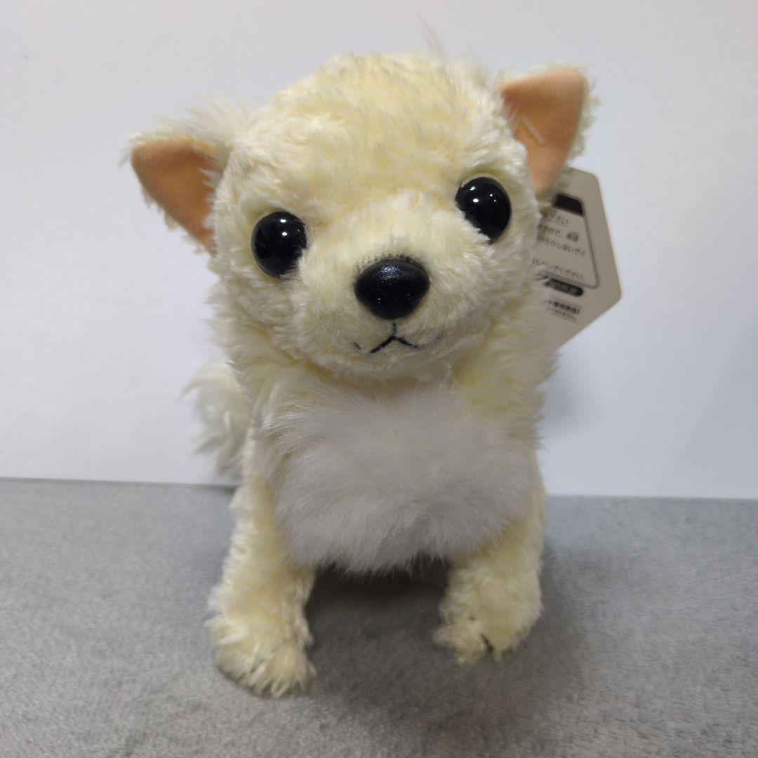 チワワのくーちゃん　ぬいぐるみ2個セット Amazon.co.jp: チワワのくーちゃんぬいぐるみ クーちゃん