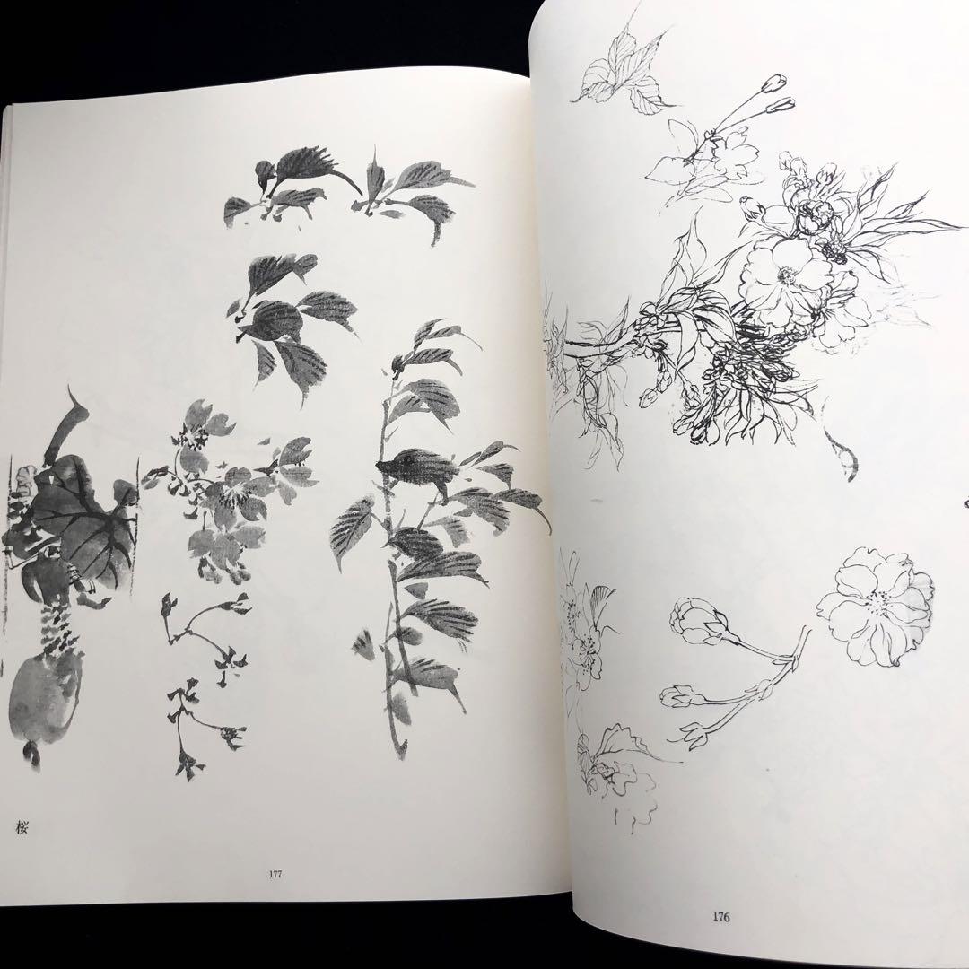草花下絵図譜 : 人間国宝三代田畑喜八 草花下絵図譜: 人間国宝三代田畑喜八 | 田畑 喜八 |本 | 通販