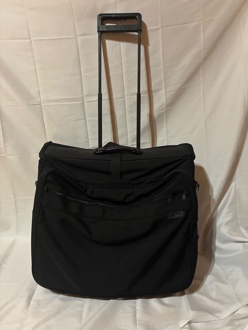 旅行目立った傷や汚れなし