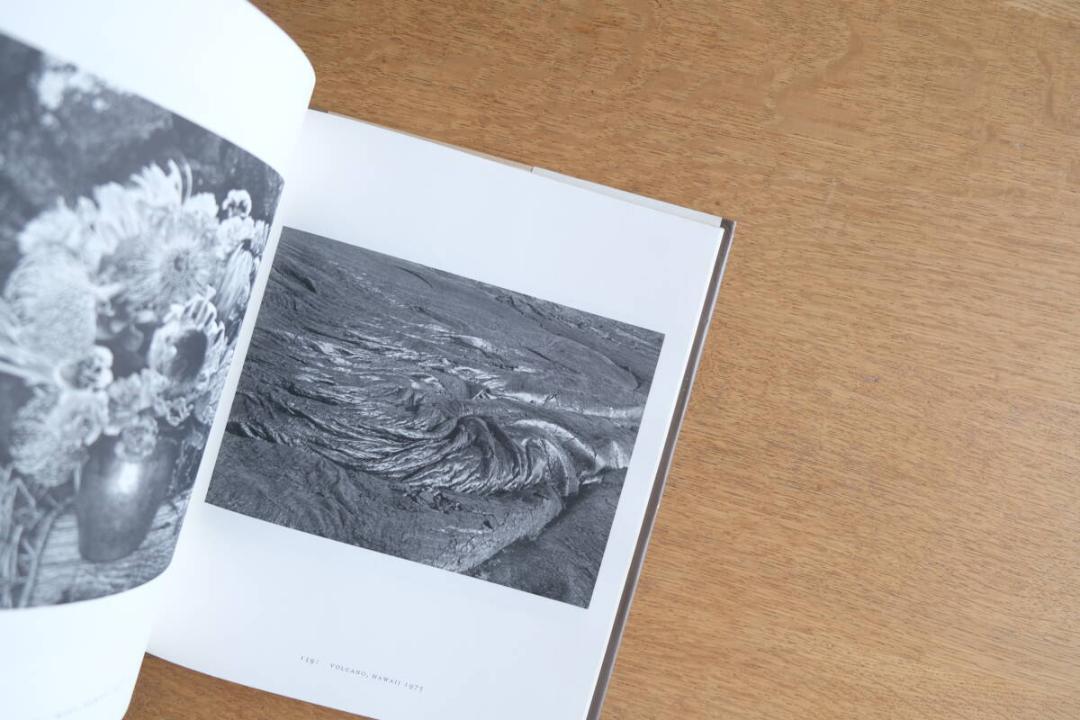ポール・カポニグロ The Wise Silence Paul Caponigr