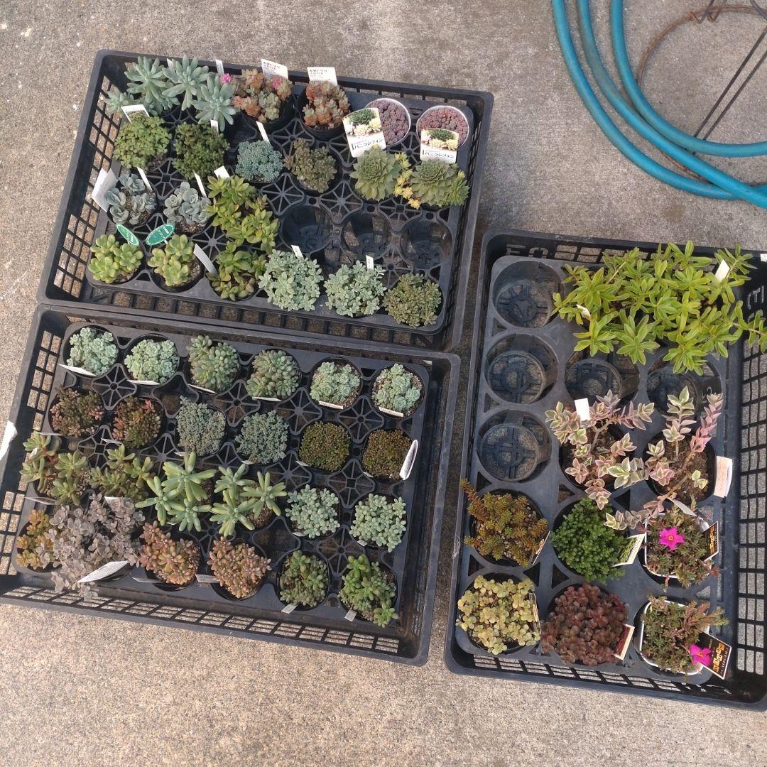 まるちゃんさん専用