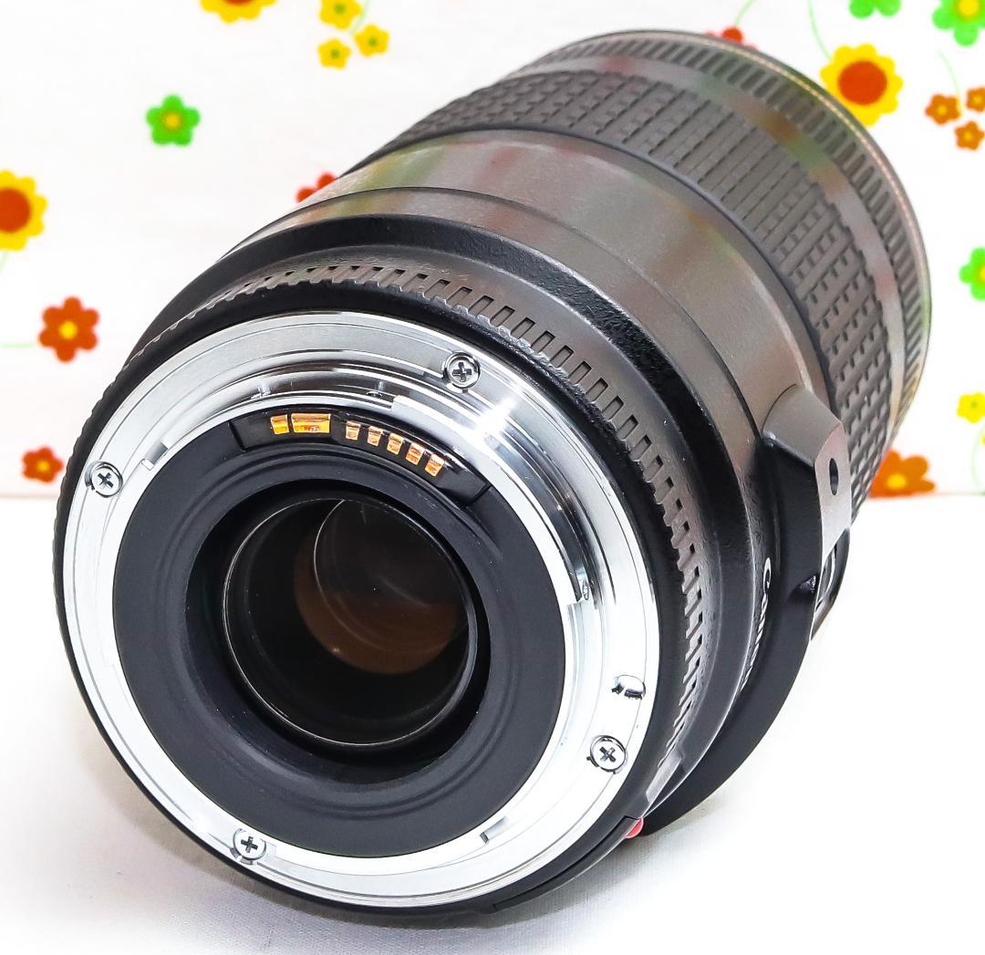✨極美品✨キャノン EF 70-300mm IS USM❤️超・望遠レンズ！ EFレンズ キヤノン Canon EF 70-300mm F4-5.6L IS USM 望遠