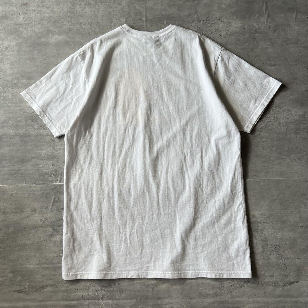 【陽気な美人プリント、センターロゴ】stussy古着Tシャツストリート菅田将暉
