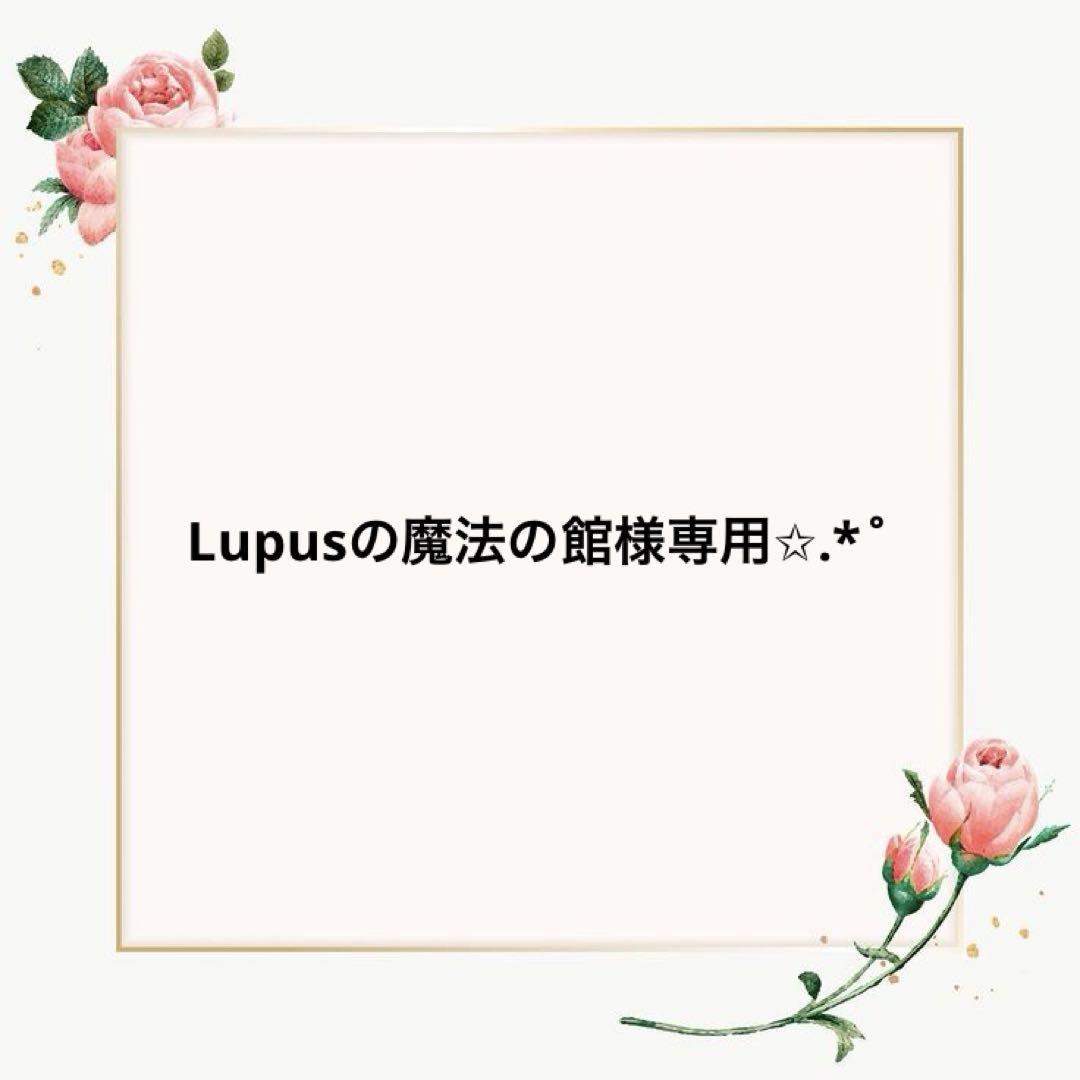 Lupusの魔法の館　プロフ必読　0523 Lupusの魔法の館 プロフ必読様 リクエスト 2点 まとめ商品