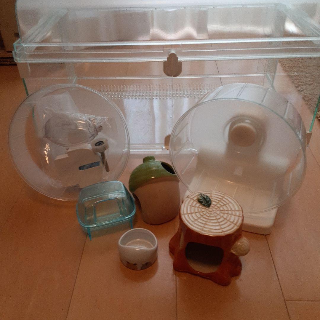 グラスハーモニー 600