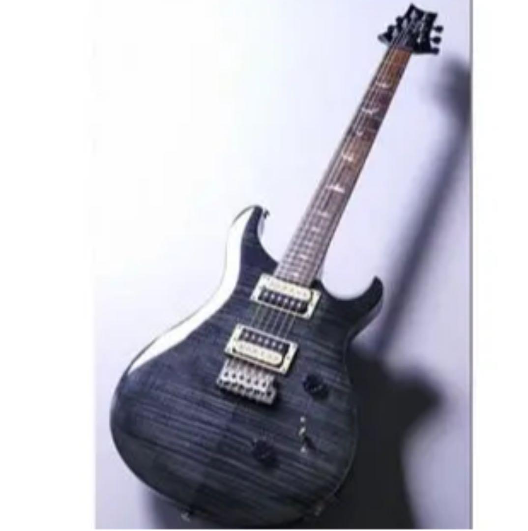 PRS SE Custom 24 Gray Black