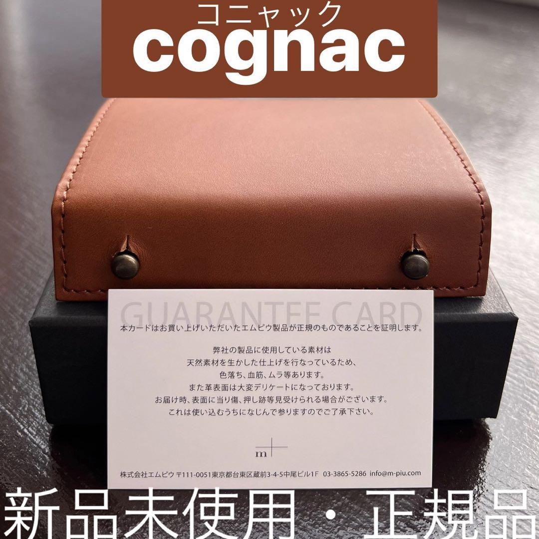 1番人気カラー 新品・稀少m+エムピウ ミッレフォッリエII P25