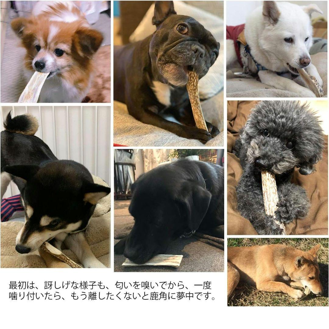 犬のおもちゃ　6本セット　鹿の角