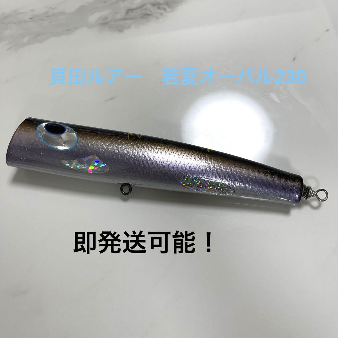 L1-5 | shell shaping lures