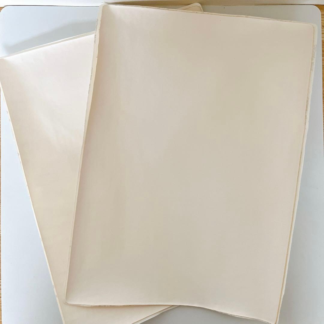 合皮補修シート21×28cm 2個セット ソファー補修 粘着 革 家具補修 白