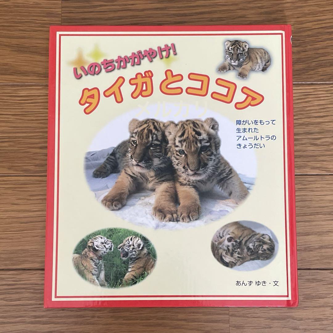 いのちかがやけ タイガとココア 障がいをもって生まれたアムールトラのきょうだい