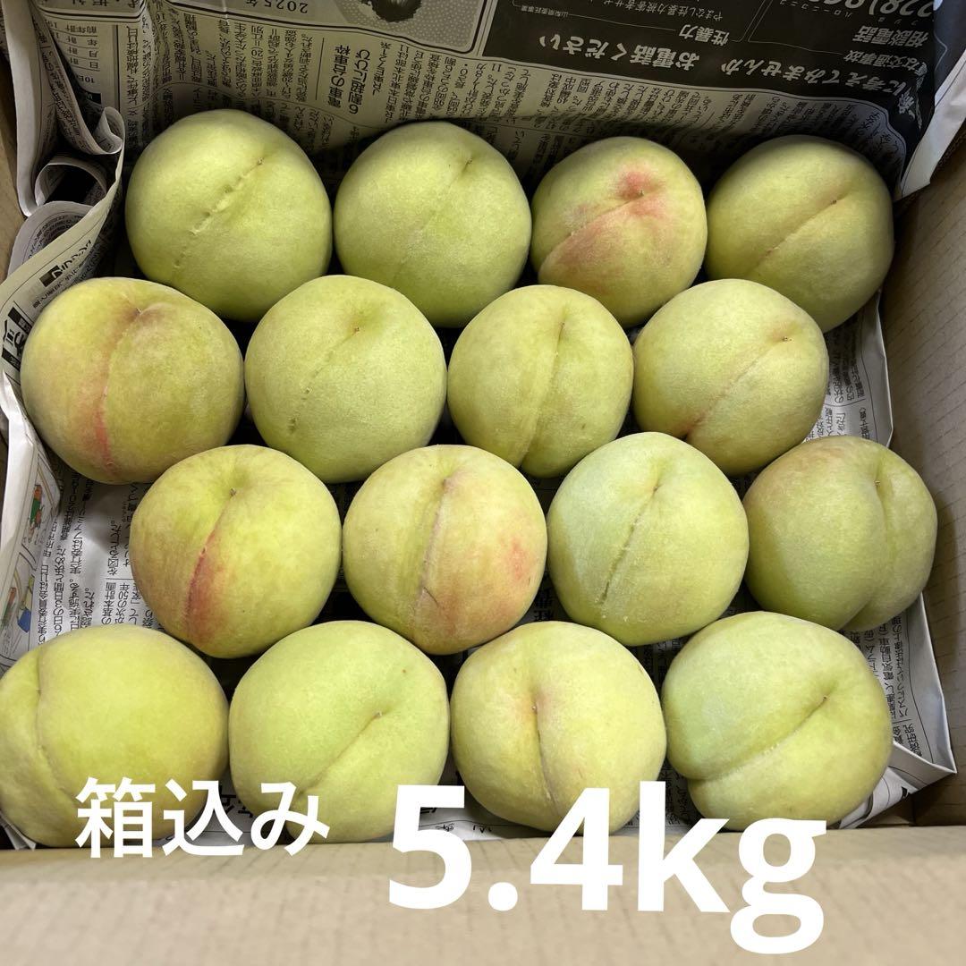 ⑤若桃 硬い桃 箱込み5.4kg