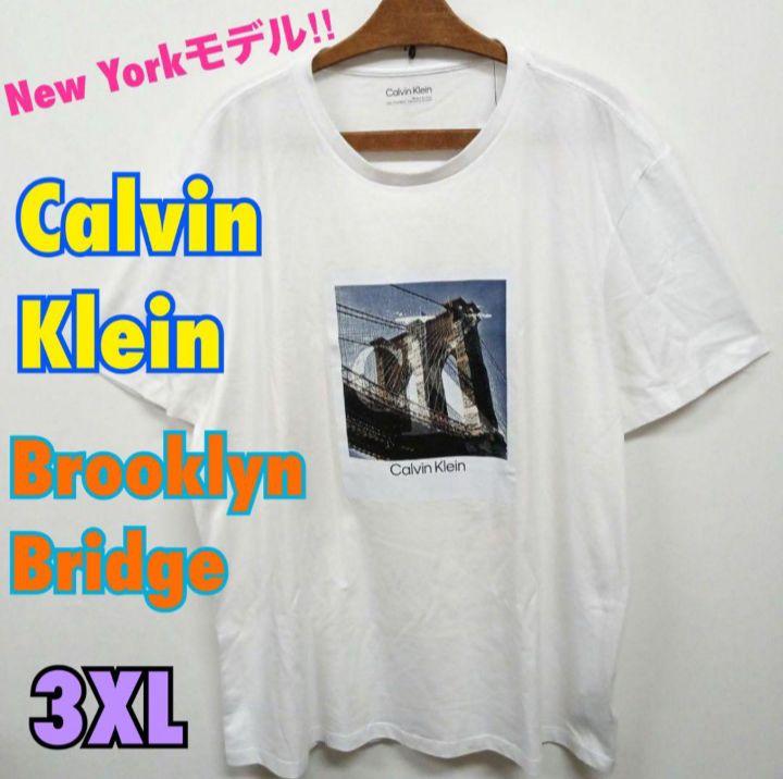 希少‼︎レア‼︎CalvinKlein/カルバンクライン　フォトプリントTシャツ