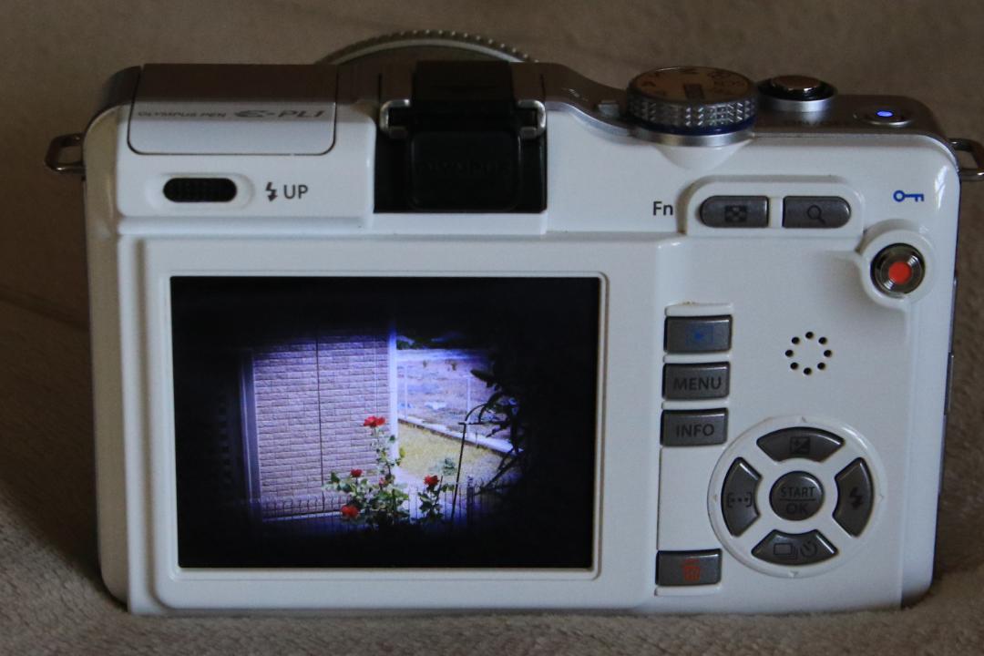 OLYMPUS PEN E-PL1 ダブルズームキットホワイト