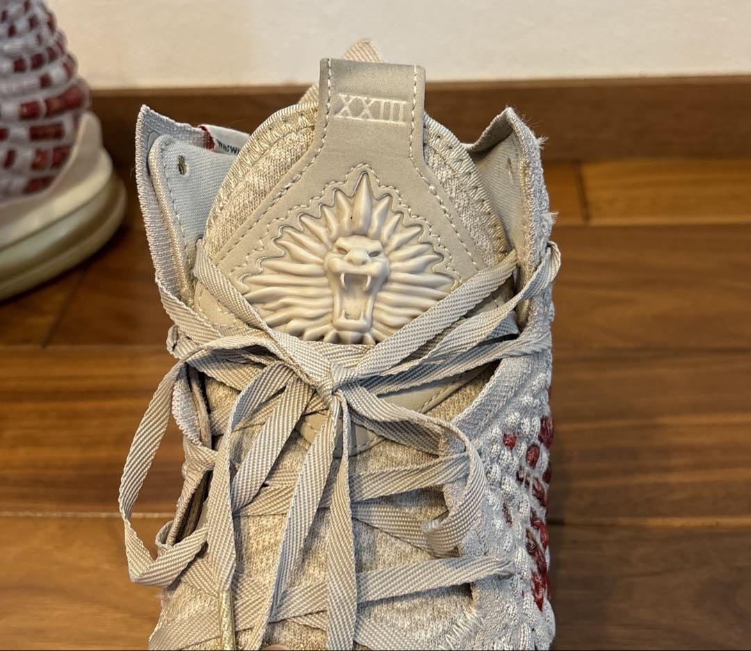 レブロン　LEBRON 17 プレミアムWIN-WIN 25.5㎝