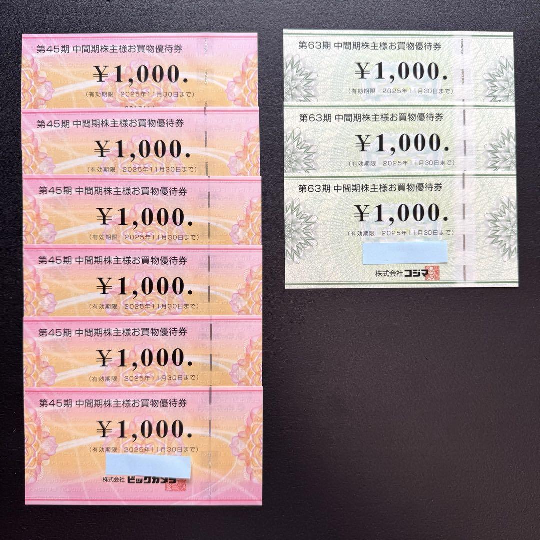 【匿名配送】 ビックカメラ コジマ 株主優待券 合計9,000円分