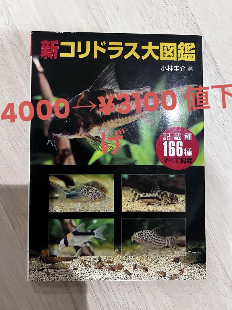 新コリドラス大図鑑 コリドラス大図鑑 新版 (アクアライフの本) | 小林圭介 |本