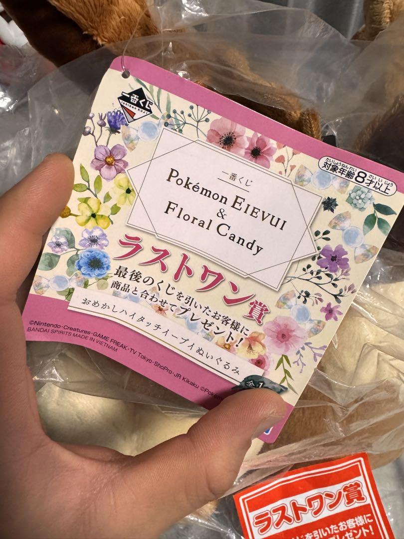 イーブイ ぬいぐるみ　5匹　まとめ売り