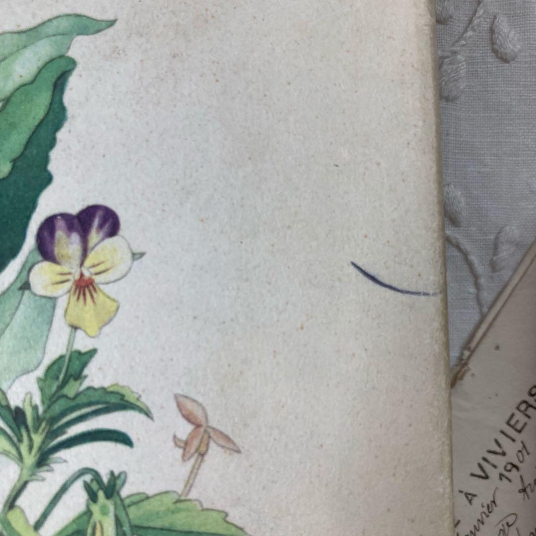 洋書古書　アンティーク植物図鑑　1893年発行　額装したい素敵な佇まいの植物画♡ L868 洋書古書 1955年発行 とても素敵なドイツの古い植物図鑑