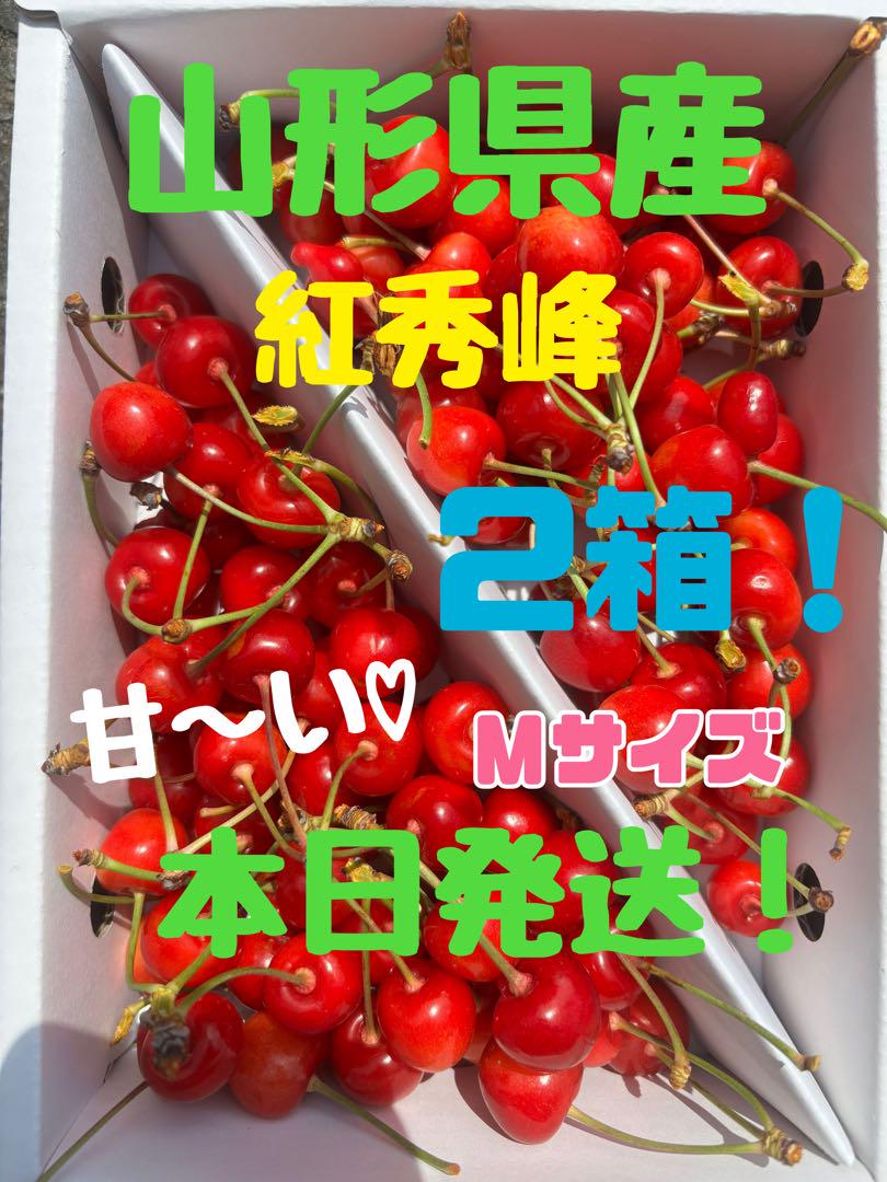 山形県産　さくらんぼ　紅秀峰