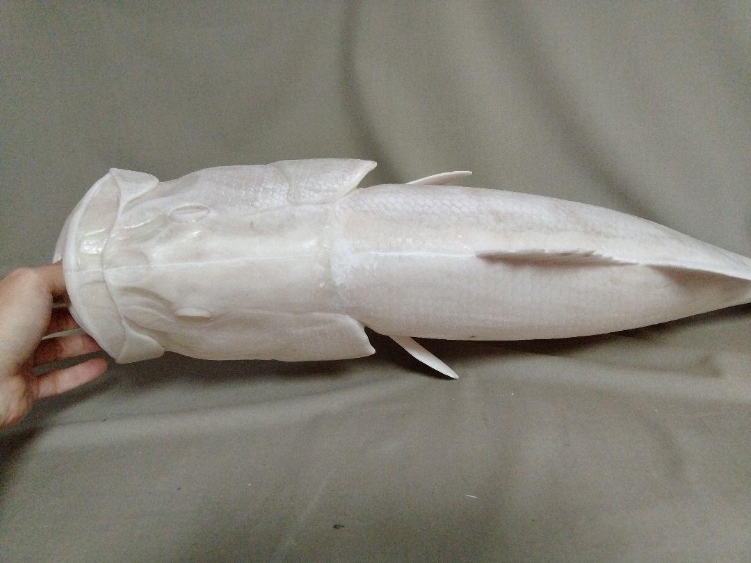 ハンドメイド　40cmアロワナ　フィギュア　レプリカ　未塗装　ガレージキット　魚 ハンドメイド 40cmアロワナ フィギュア レプリカ 未塗装