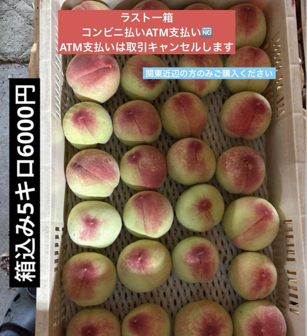 ガチガチ加工用若桃5キロ