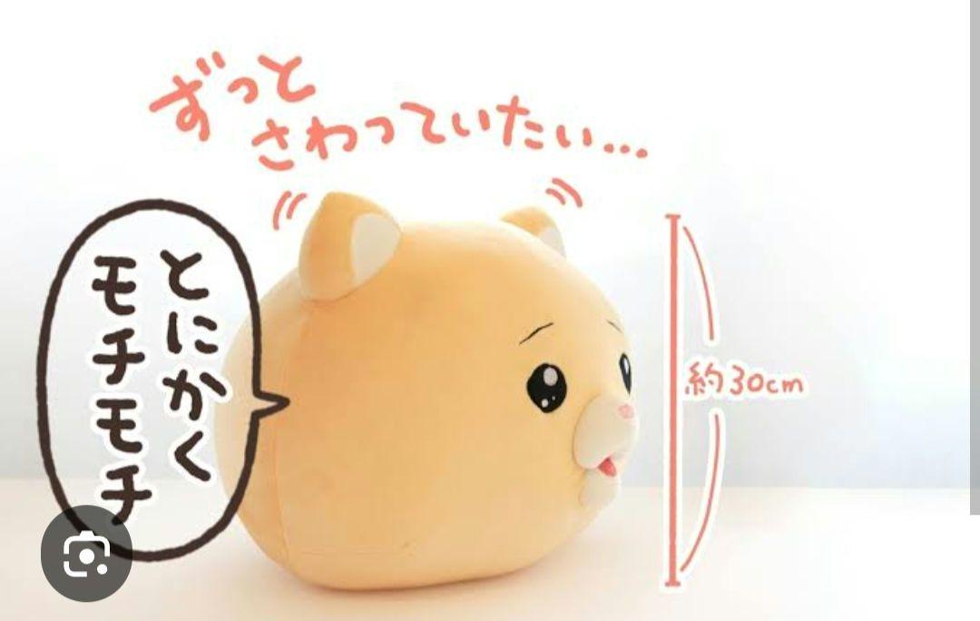 泣きむし猫のキィちゃん　モフ缶