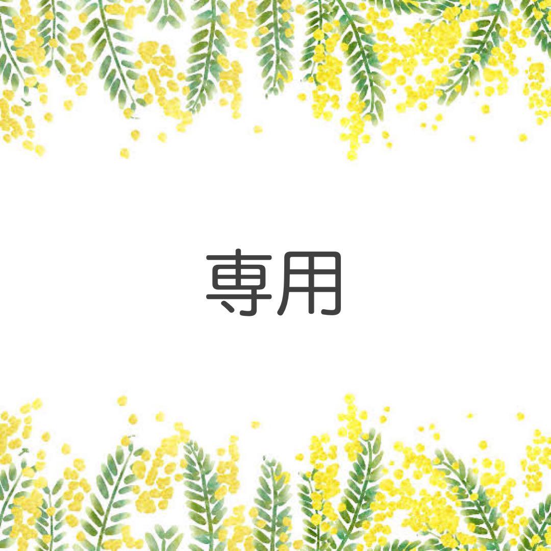 ＊( •̤ᴗ•̤ )♡～断捨離中～様専用＊