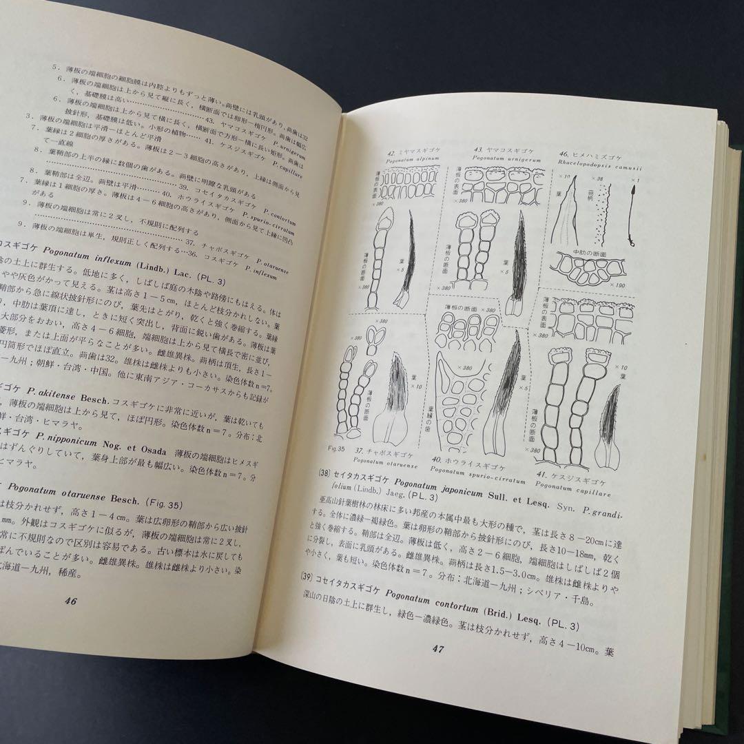 原色日本苔類図鑑 51 佐藤義則著