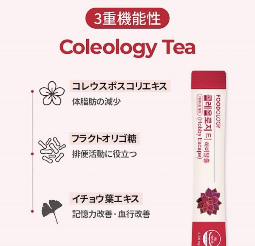 未開封　フードオロジー　FOODOLOGY  コレオロジー茶