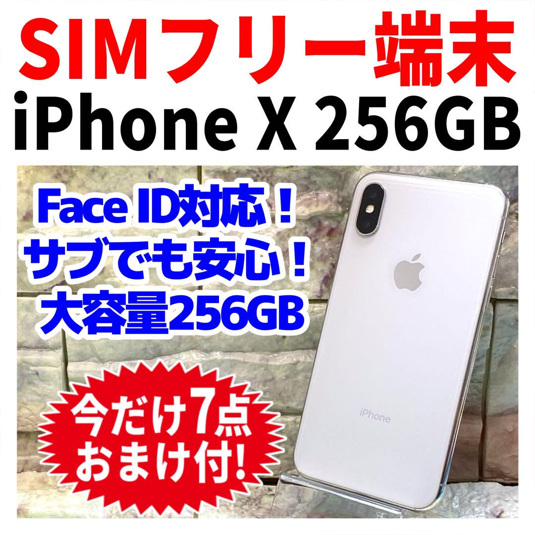 iPhoneX 256GB
