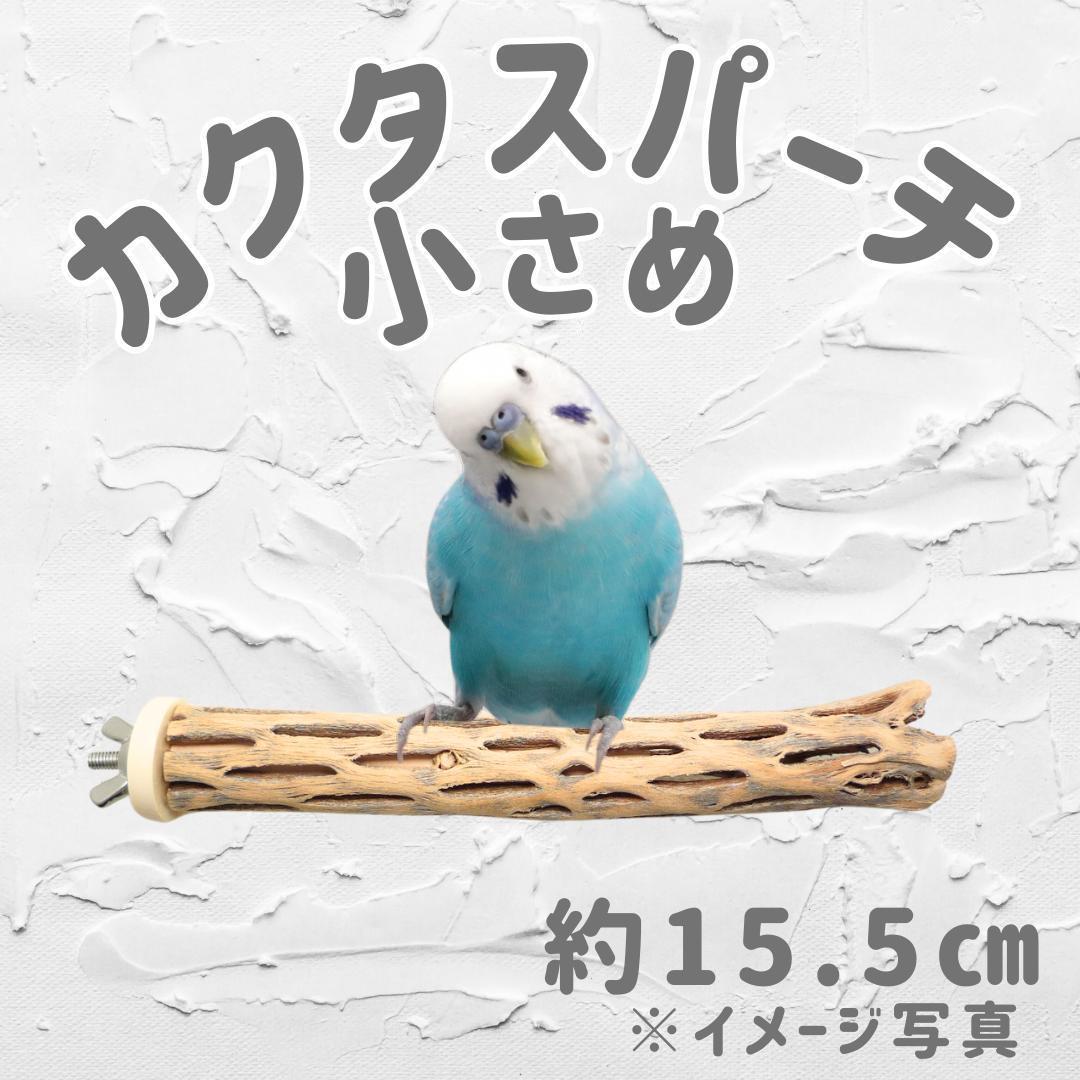 Oka-D　カクタス　スケルトン　パーチ　No.356、No.512