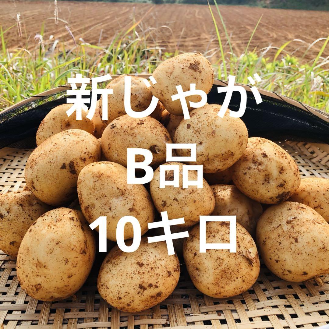 専用出品　SサイズたんかんとじゃがいもB品セット♡