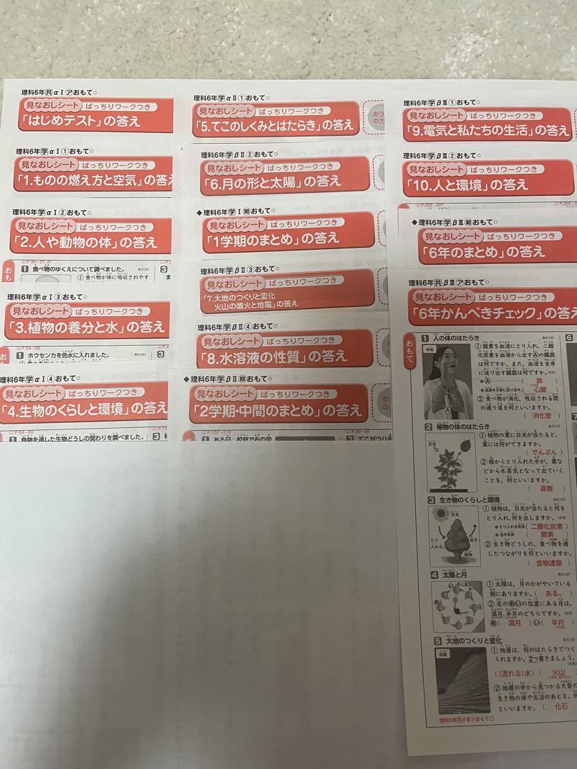 6年生 理科 カラーテスト1年分 教育出版　新学社 カラーテスト解答 小学 6年理科1年分