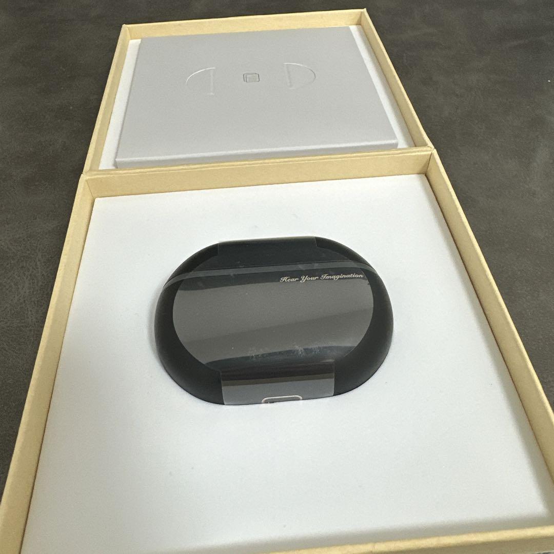 SOUNDPEATS Capsule3 Pro+ ブラック