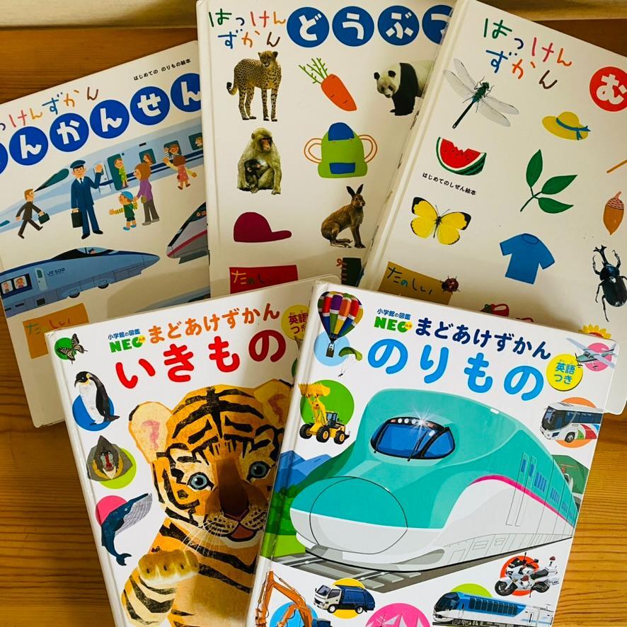はっけんずかん｜幼児に人気のしかけ絵本みたいな図鑑