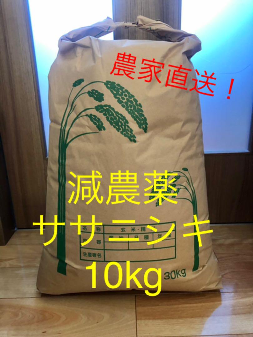 直売限定 ※くろ様専用 ササニシキ 10kg 金のいぶき 2kg 直売一掃|その他,食品 - www.dmrnepal.com 直売限定 ※くろ様専用 ササニシキ 10kg 金のいぶき 2kg 直売一掃|その他,食品 - www.dmrnepal.com