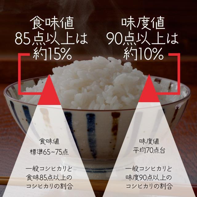 お待たせしました！令和6年産✨一等米　希少コシヒカリ！はちたか米✨ 20kg