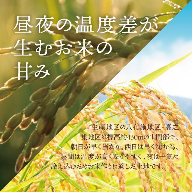 お待たせしました！令和6年産✨一等米　希少コシヒカリ！はちたか米✨ 20kg