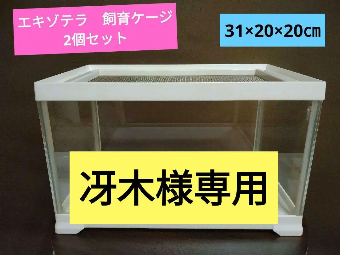 エキゾテラ　飼育ケージ　31×20×20サイズ　2個セット　　爬虫類、両生類