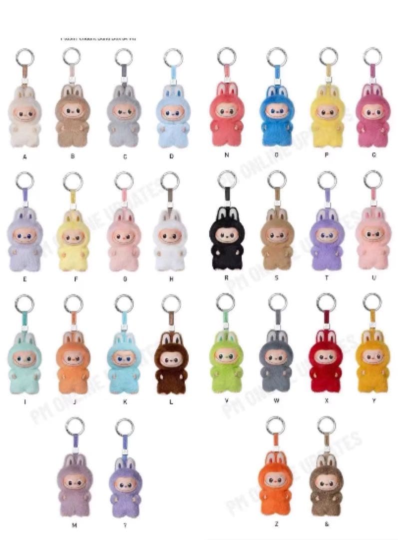 LABUBU THE MONSTER PIN FOR LOVE 正規品