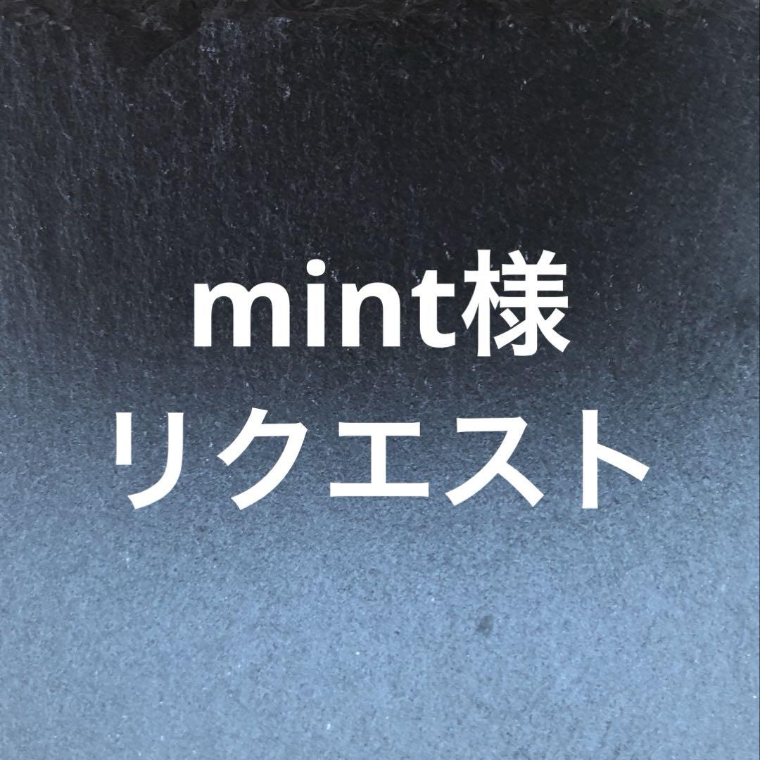 mint様　専用ページ