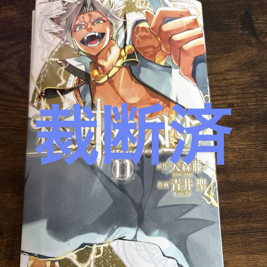 裁断済 杖と剣のウィストリア 11巻 - メルカリ