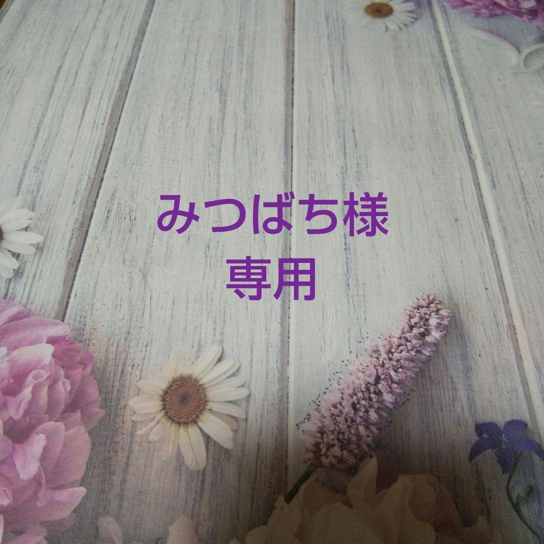 チワワとプードルのペンケースとチワワのイヤリングなど