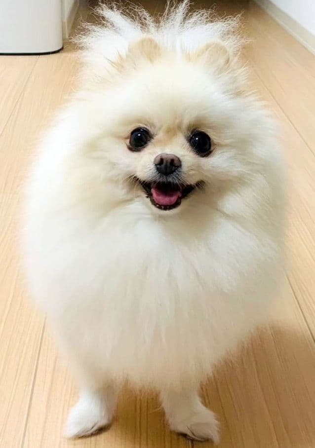 ※専用※ ※専用※