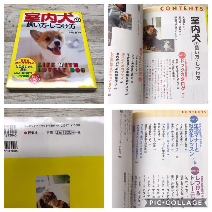 メルカリ 室内犬の飼い方としつけ方本 犬用品 0 中古や未使用のフリマ メルカリ 室内犬の飼い方としつけ方本 犬用品 0 中古や未使用のフリマ